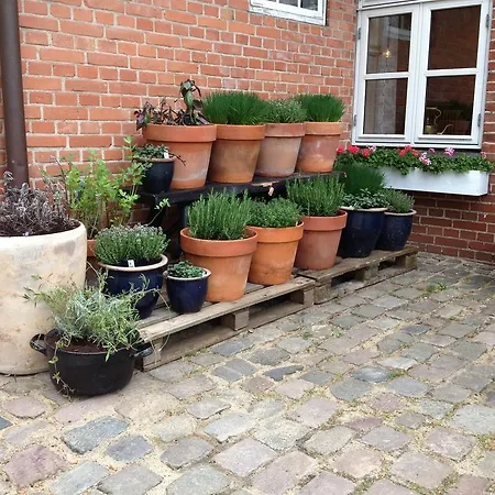 Mini-hôtel Niels Bugges Kro Viborg