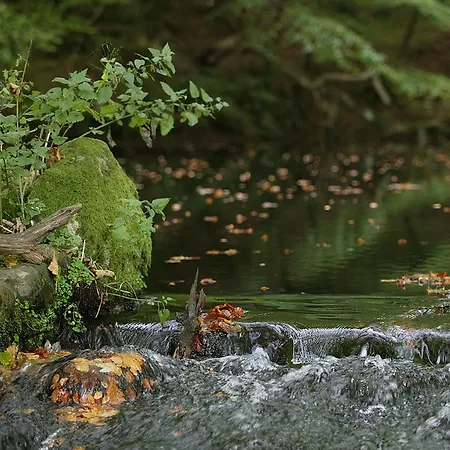 Mini-hôtel Niels Bugges Kro