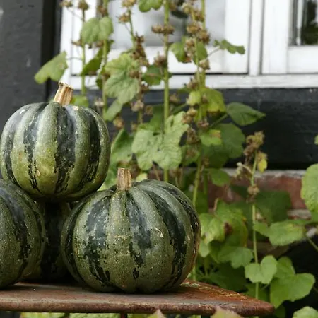 Niels Bugges Kro Mini-hôtel