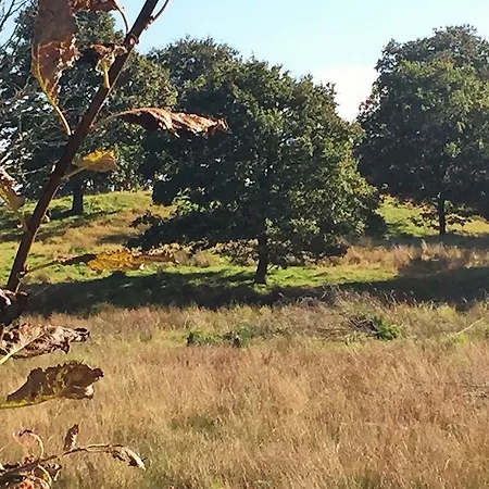 Fogadó Niels Bugges Kro Viborg