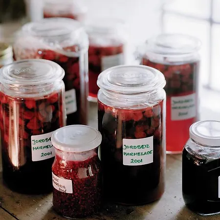 Mini-hôtel Niels Bugges Kro Viborg