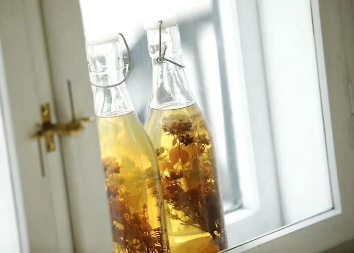 אורחן Niels Bugges Kro וויבורג