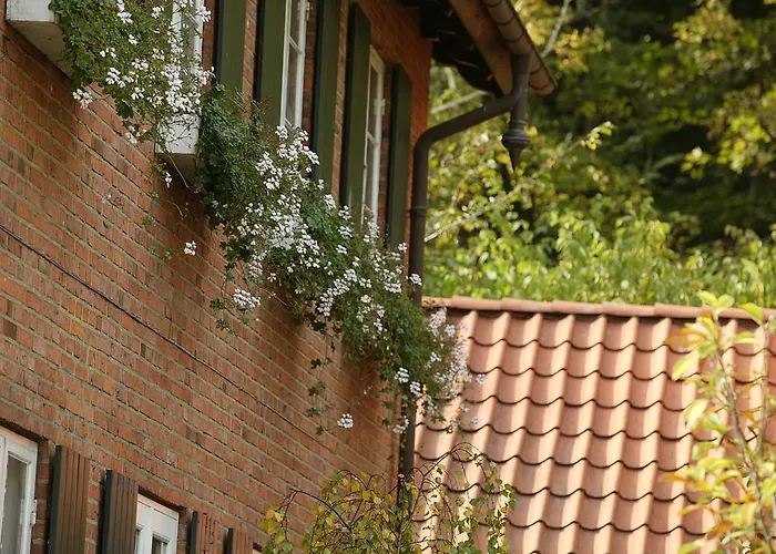 Niels Bugges Kro 2* וויבורג