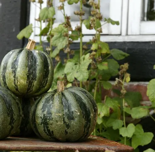 Niels Bugges Kro Estalagem