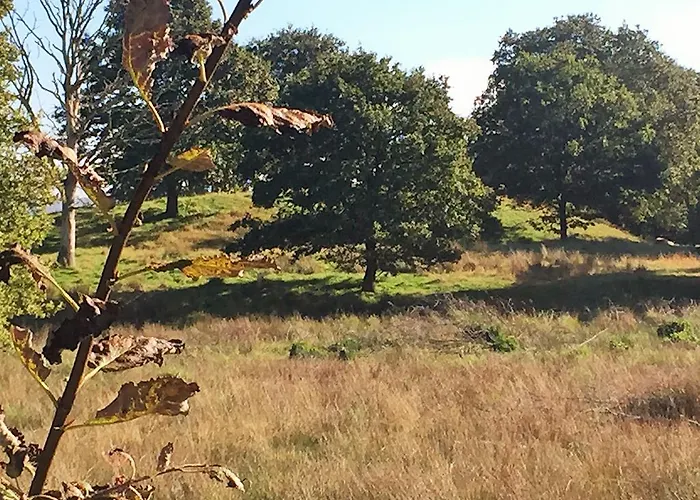 Estalagem Niels Bugges Kro Viborg