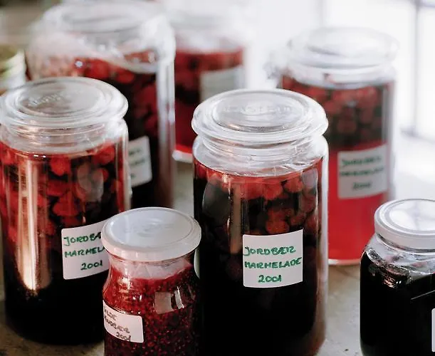 אורחן Niels Bugges Kro וויבורג