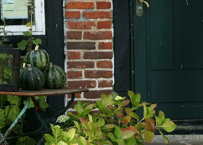 Niels Bugges Kro אורחן 2*